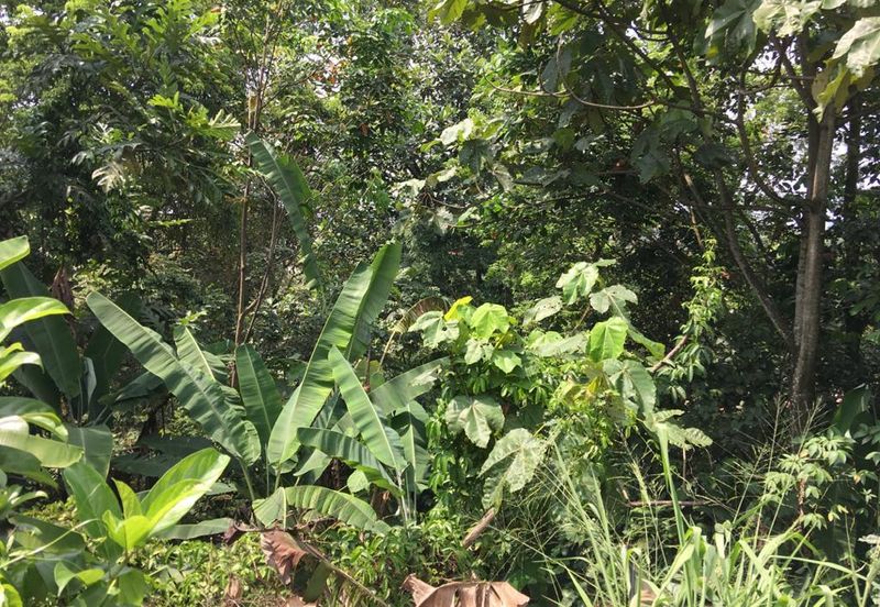 Seksyen 5, Petaling Jaya