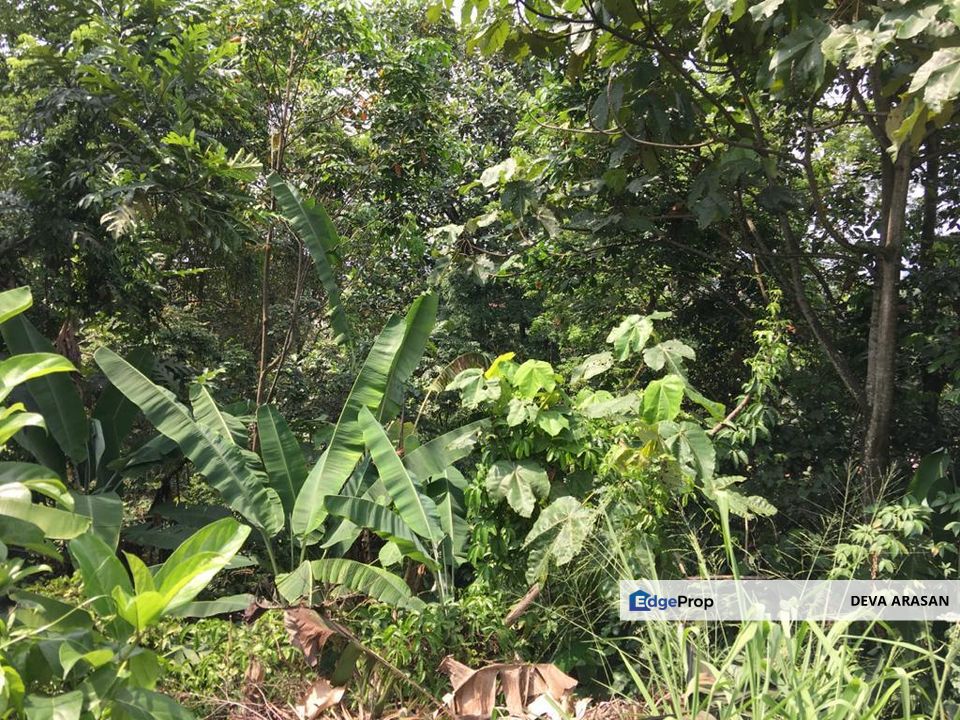 Section 5 PJ Hilltop Freehold Bungalow Land For Sale, Selangor, Petaling Jaya