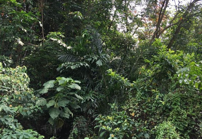 Seksyen 5, Petaling Jaya