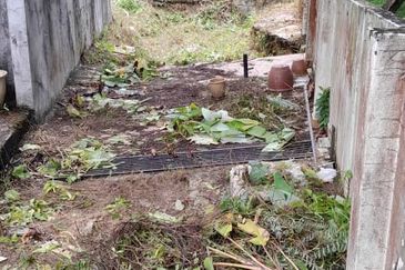 Seksyen 5, Petaling Jaya