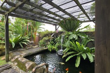 Bukit Gasing, Seksyen 5