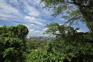 Seksyen 5, Petaling Jaya