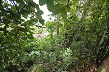 Seksyen 5, Petaling Jaya