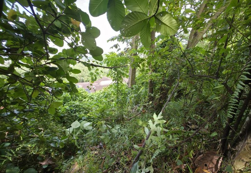 Seksyen 5, Petaling Jaya