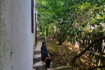 Seksyen 12, Petaling Jaya