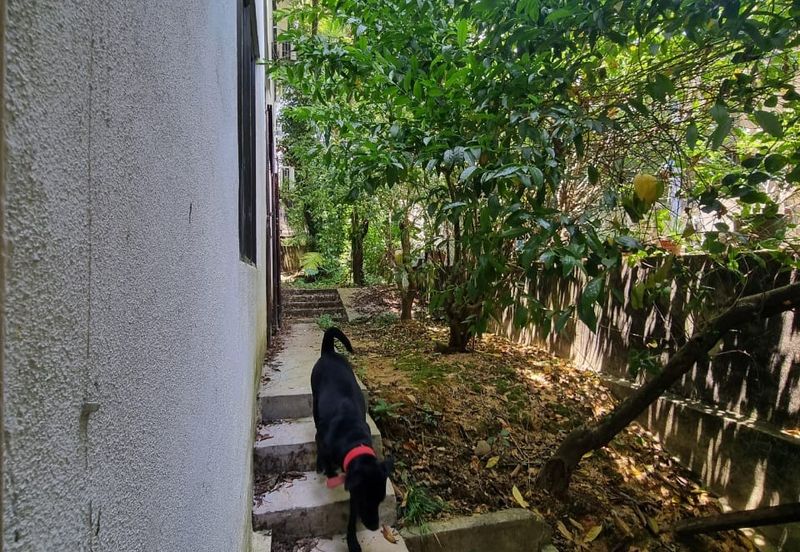 Seksyen 12, Petaling Jaya