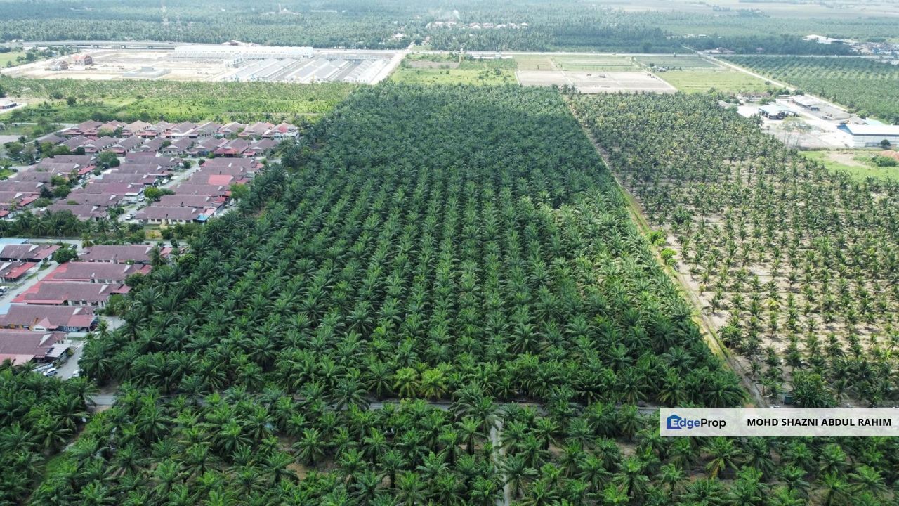 Air Manis Sabak Bernam Agricultural Land For Sale - FREEHOLD Land near WCE Highway, Selangor, Sabak Bernam