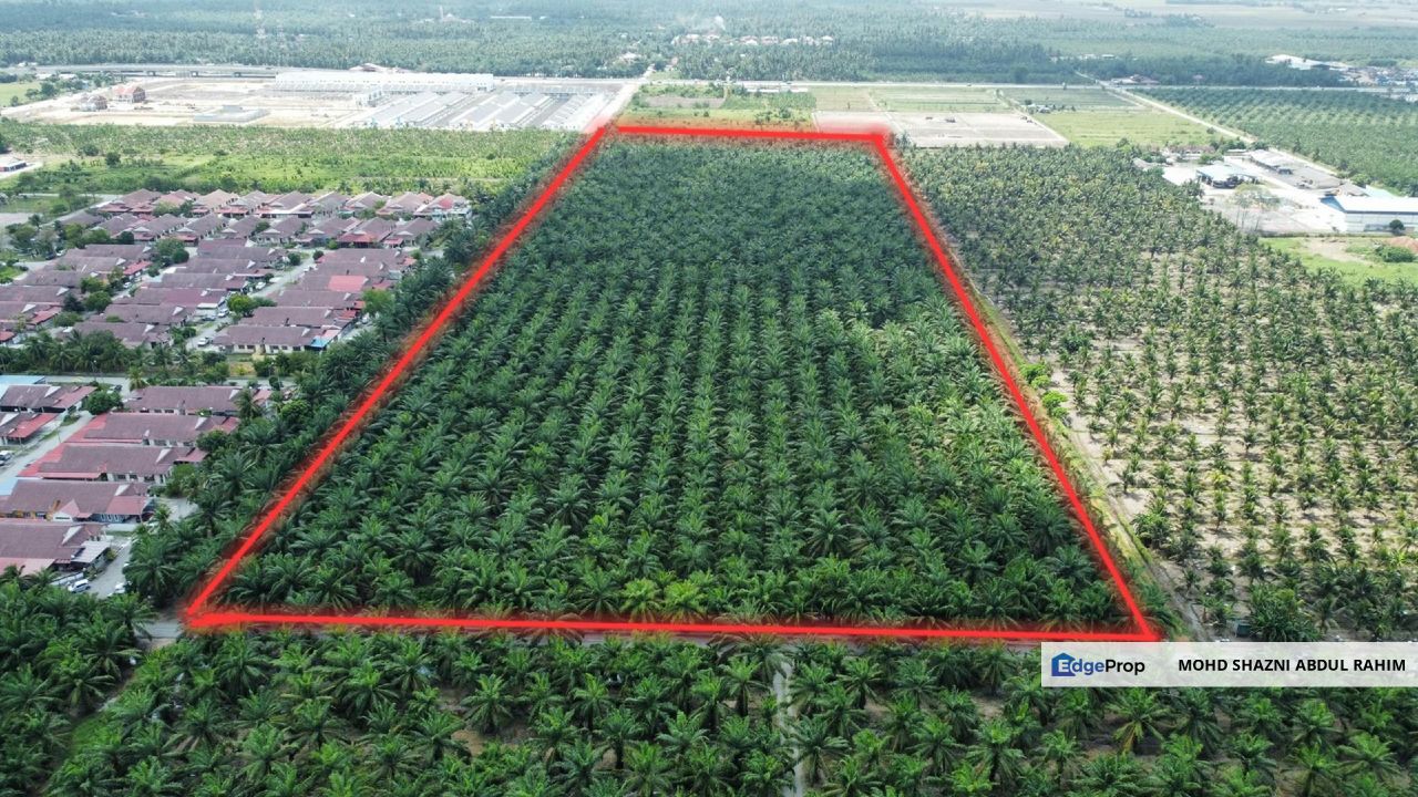 Air Manis Sabak Bernam Agricultural Land For Sale - FREEHOLD Land near WCE Highway, Selangor, Sabak Bernam