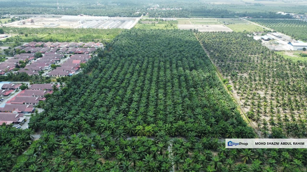 Air Manis Sabak Bernam Agricultural Land For Sale - FREEHOLD Land near WCE Highway, Selangor, Sabak Bernam