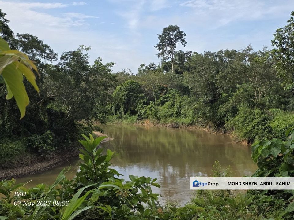 Kuala Kechau Agricultural Land for Sale, Pahang, Kuala Lipis