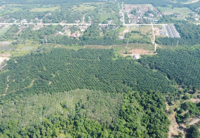 Mentakab Agricultural Land