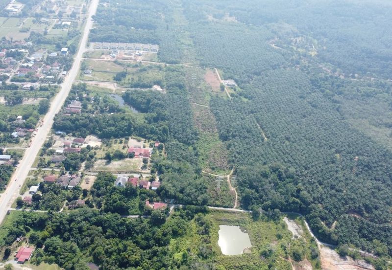 Mentakab Agricultural Land