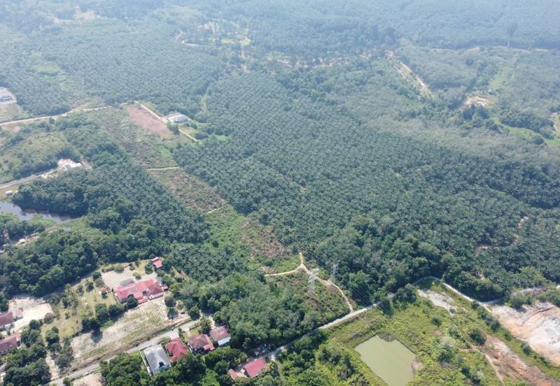 Mentakab Agricultural Land