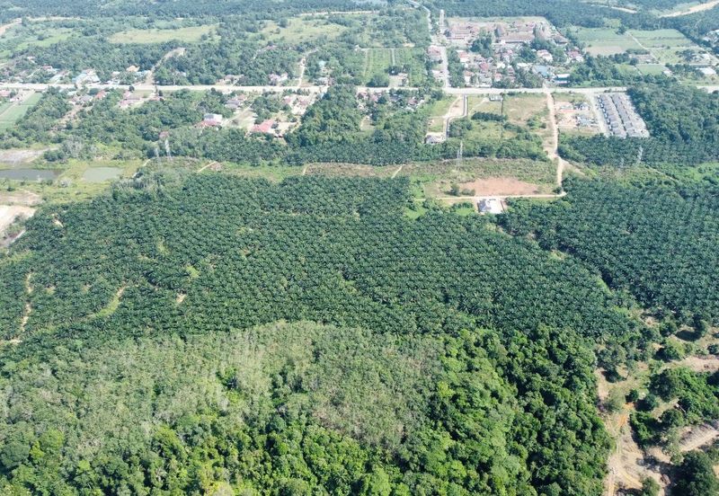 Mentakab Agricultural Land