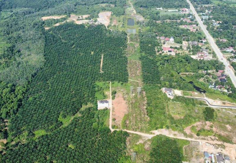 Mentakab Agricultural Land
