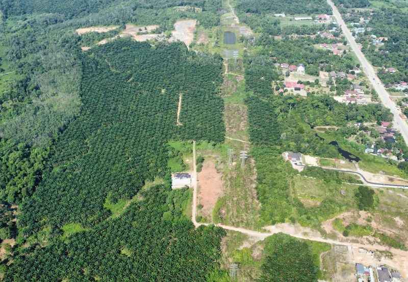 Mentakab Agricultural Land