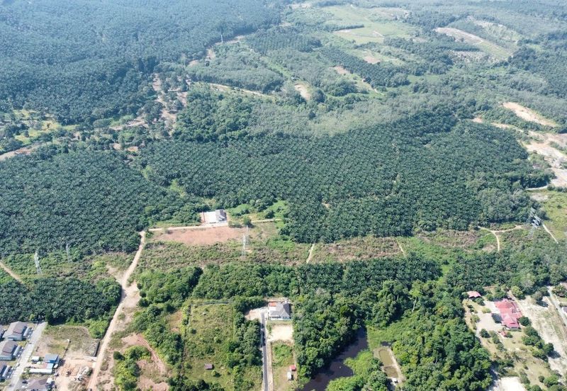 Mentakab Agricultural Land