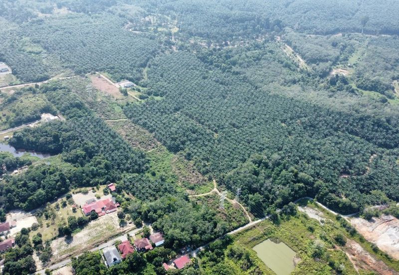 Mentakab Agricultural Land
