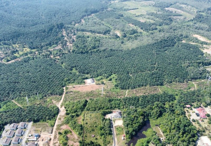 Mentakab Agricultural Land