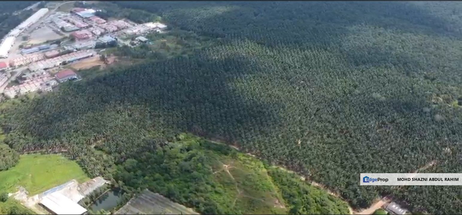 Jalan Tai Hong Mixed Development Land For Sale - Long Leasehold tenure, Johor, Kota Tinggi