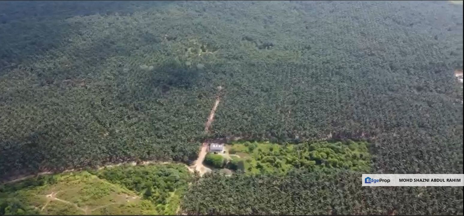 Jalan Tai Hong Mixed Development Land For Sale - Long Leasehold tenure, Johor, Kota Tinggi