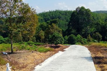 [4.7 EKAR] Dusun Durian Musang King di Pertang, Jelebu Negeri Sembilan