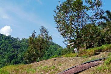 [4.7 EKAR] Dusun Durian Musang King di Pertang, Jelebu Negeri Sembilan