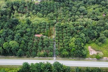 [3.1 EKAR] Agriculture Land Bukit Cerakah (Beside Main Road) 