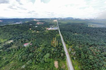 [3.1 EKAR] Agriculture Land Bukit Cerakah (Beside Main Road) 