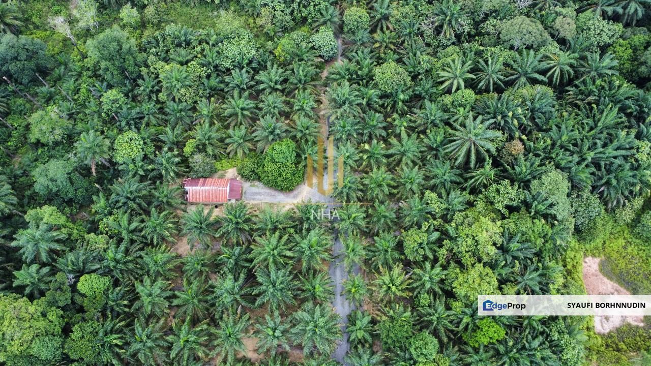 [3.1 EKAR] Agriculture Land Bukit Cerakah (Beside Main Road) , Selangor, Kuala Selangor