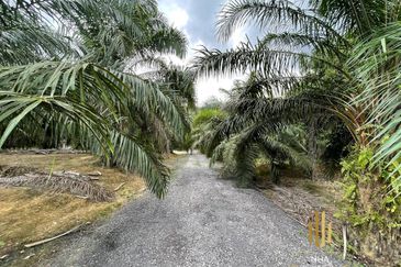 [3.1 EKAR] Agriculture Land Bukit Cerakah (Beside Main Road) 