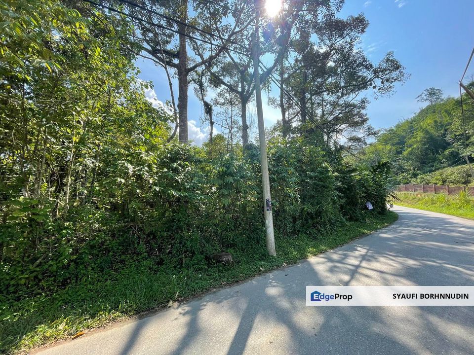 Residential Land Janda Baik @ Bentong, Pahang, Pahang, Bentong