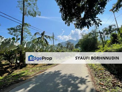 Residential Land Janda Baik @ Bentong, Pahang, Pahang, Bentong