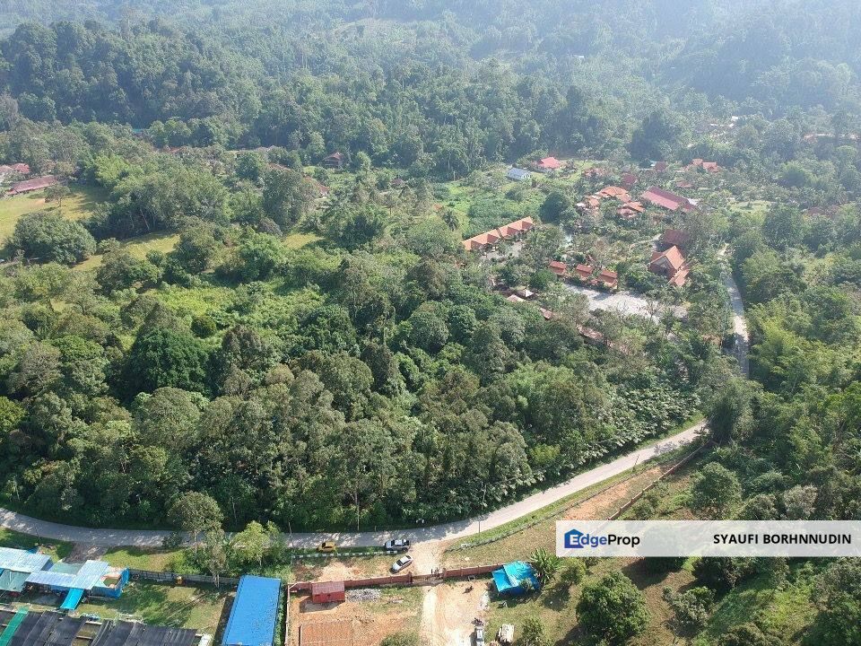 Residential Land Janda Baik @ Bentong, Pahang, Pahang, Bentong