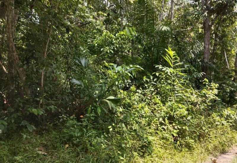 [18 EKAR] Tanah Pertanian Gentam Parit Tinggi @ Kuala Pilah, Negeri Sembilan