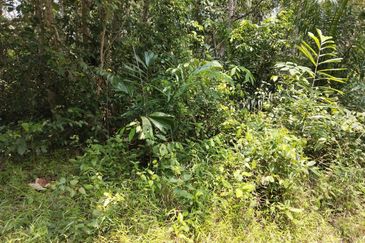 [18 EKAR] Tanah Pertanian Gentam Parit Tinggi @ Kuala Pilah, Negeri Sembilan