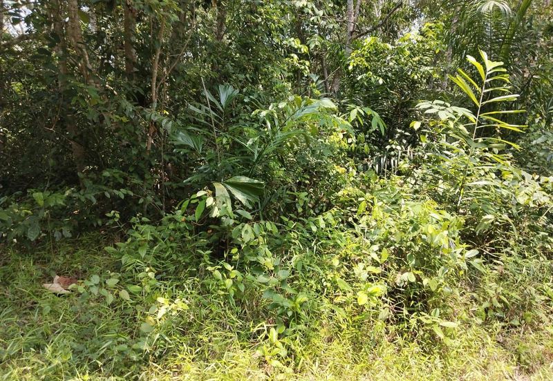 [18 EKAR] Tanah Pertanian Gentam Parit Tinggi @ Kuala Pilah, Negeri Sembilan