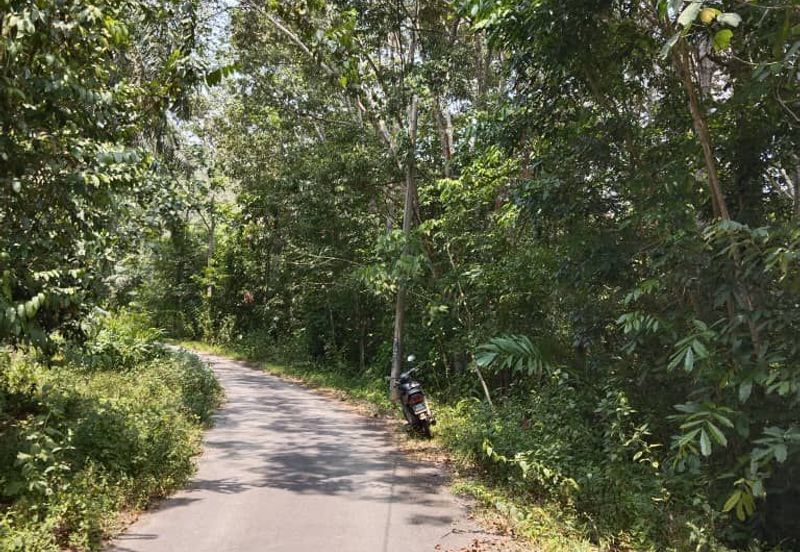 [18 EKAR] Tanah Pertanian Gentam Parit Tinggi @ Kuala Pilah, Negeri Sembilan