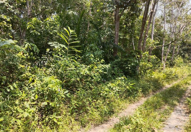 [18 EKAR] Tanah Pertanian Gentam Parit Tinggi @ Kuala Pilah, Negeri Sembilan