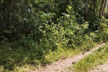 [18 EKAR] Tanah Pertanian Gentam Parit Tinggi @ Kuala Pilah, Negeri Sembilan