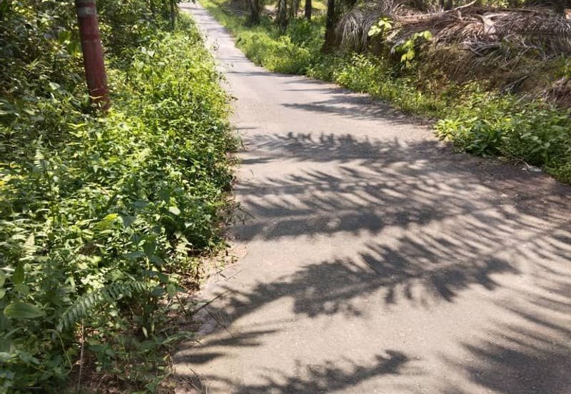 [18 EKAR] Tanah Pertanian Gentam Parit Tinggi @ Kuala Pilah, Negeri Sembilan