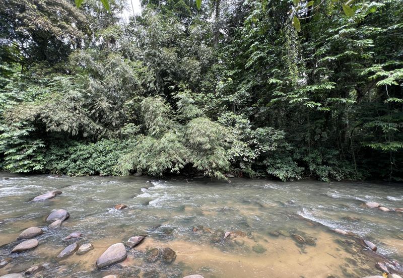 Tanah Tepi Sungai Untuk Dijual Di Lubok Manggis Hulu Langat Tepi Jalan Utama!