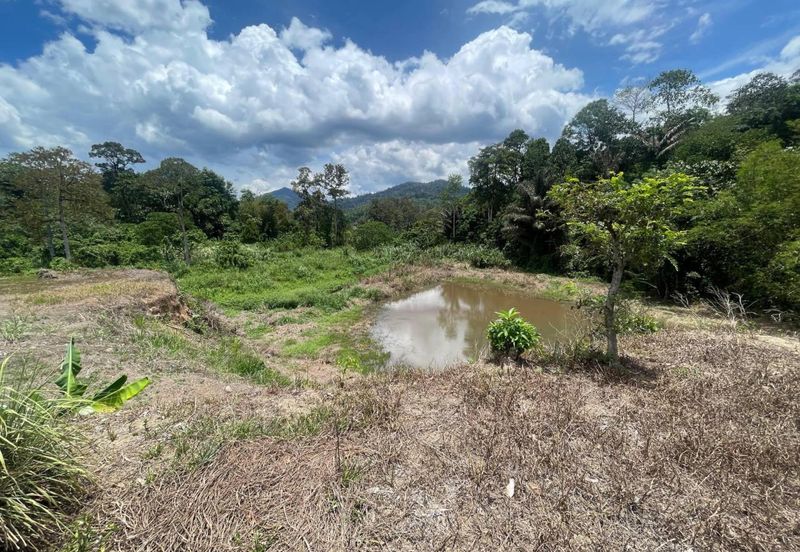 For SALE Tanah Dusun 2.2 Ekar [Tepi Sungai] Lubok Kelubi Batu 20, Hulu Langat