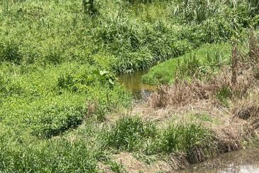 For SALE Tanah Dusun 2.2 Ekar [Tepi Sungai] Lubok Kelubi Batu 20, Hulu Langat