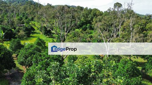 3.41 EKAR LAND FOR SALES DURIAN FARM MIX ,MANTIN NEGERI SEMBILAN , Negeri Sembilan, Seremban