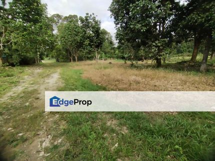 Dusun Buah-buahan Semungkis Hulu Langat Untuk Dijual, Selangor, Hulu Langat