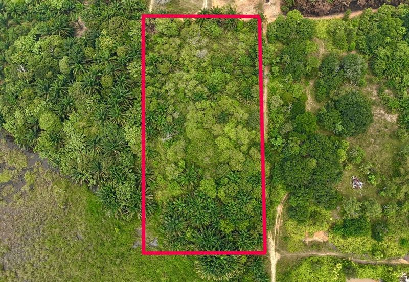 TANAH PERTANIAN BUKIT CERAKAH SHAH ALAM 