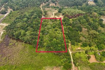 TANAH PERTANIAN BUKIT CERAKAH SHAH ALAM 