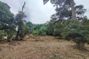 3.2 EKAR TANAH PERTANIAN ZONING KEDIAMAN DI TEPI PERSIARAN MOKHTAR DAHARI