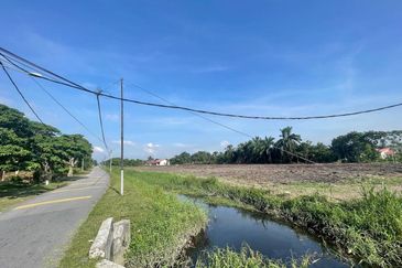 2.5 Ekar Tanah Pertanian Jalan Pipit Taman Bentara 